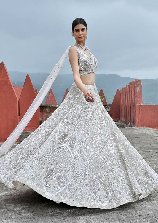 Celestial Shimmer Lehenga set