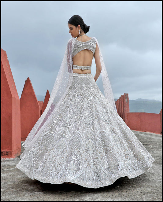 Celestial Shimmer Lehenga set