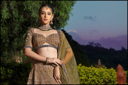 Mystic Meadow Lehenga set
