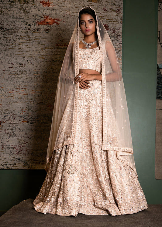 Nude Blush Self Embroidered Lehenga Set