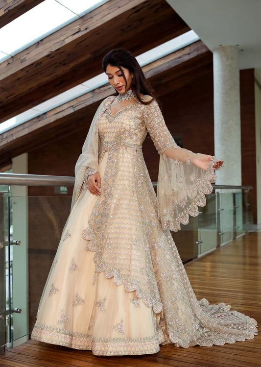 Blush Cream Trail Anarkali Lehenga Set