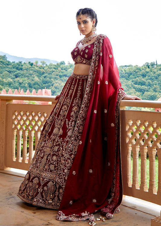 Sangria Sparkle Lehenga set