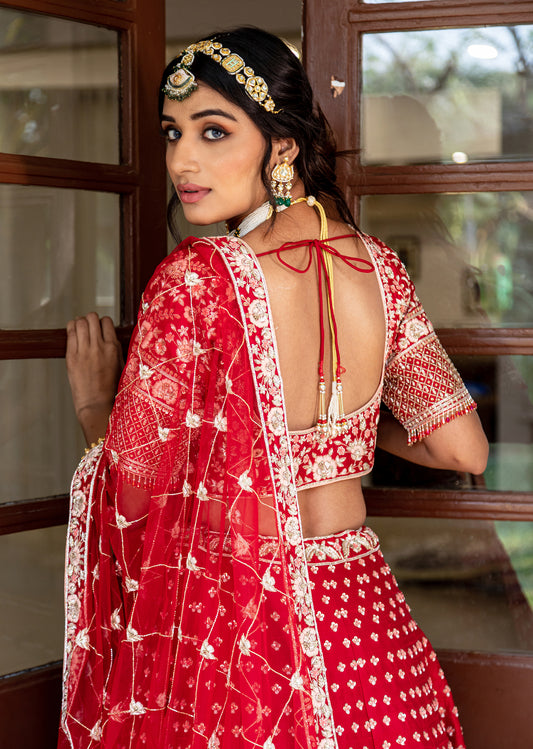 Carmine Red Floral Bagh Lehenga Set