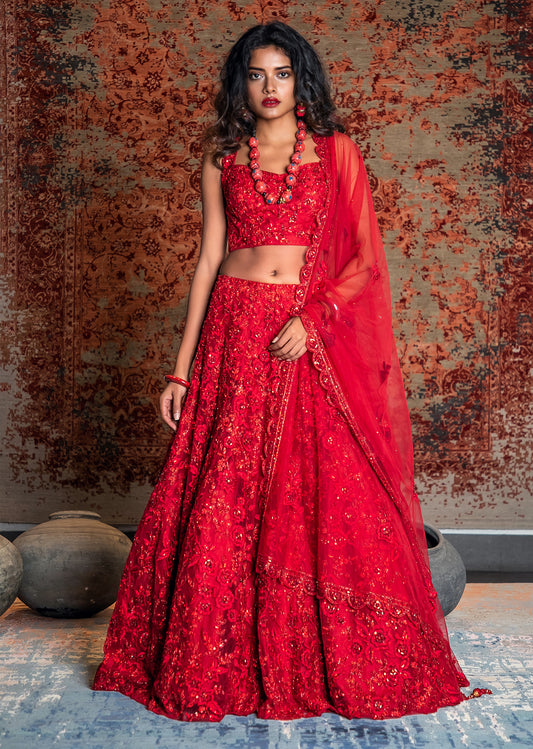Scarlet Red Bagh Embroidered Net Lehenga Set