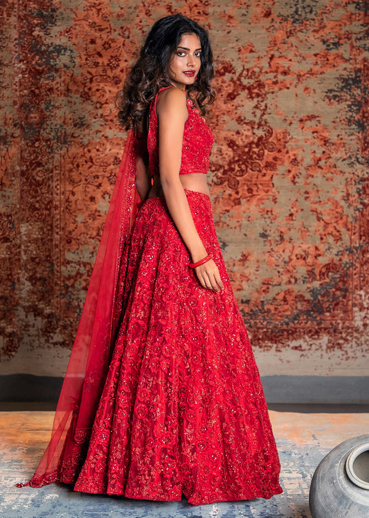 Scarlet Red Bagh Embroidered Net Lehenga Set