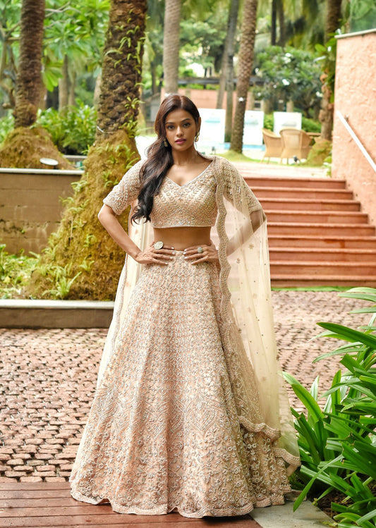 Blush Nude Sequinned Lehenga Set