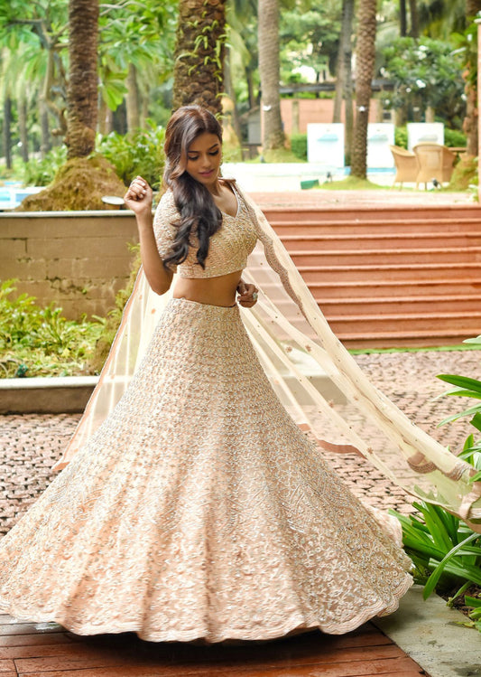 Blush Nude Sequinned Lehenga Set
