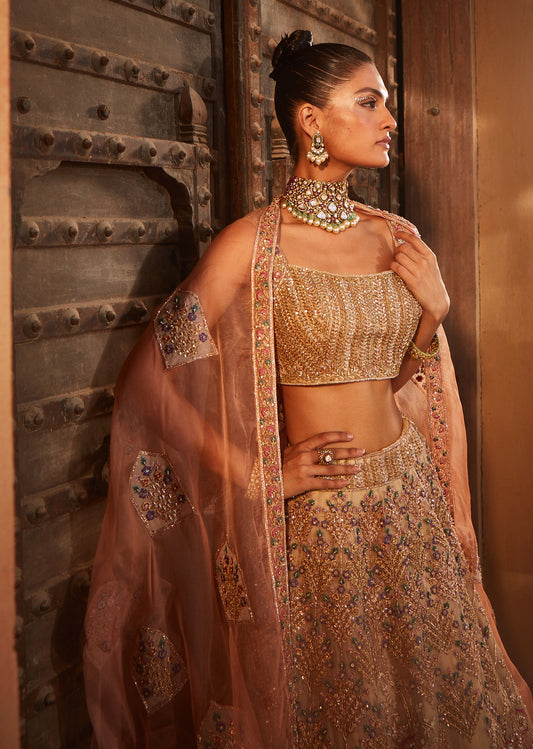 Rustic Organza Lehenga