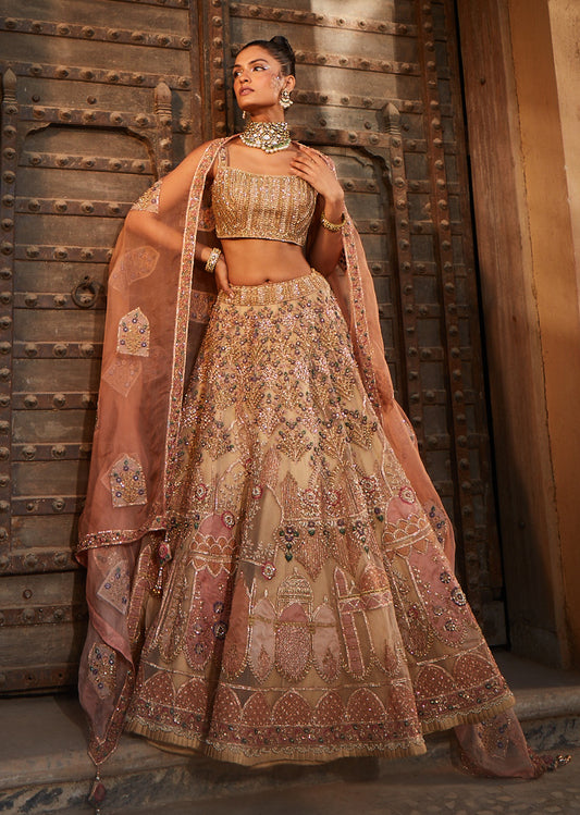 Rustic Organza Lehenga