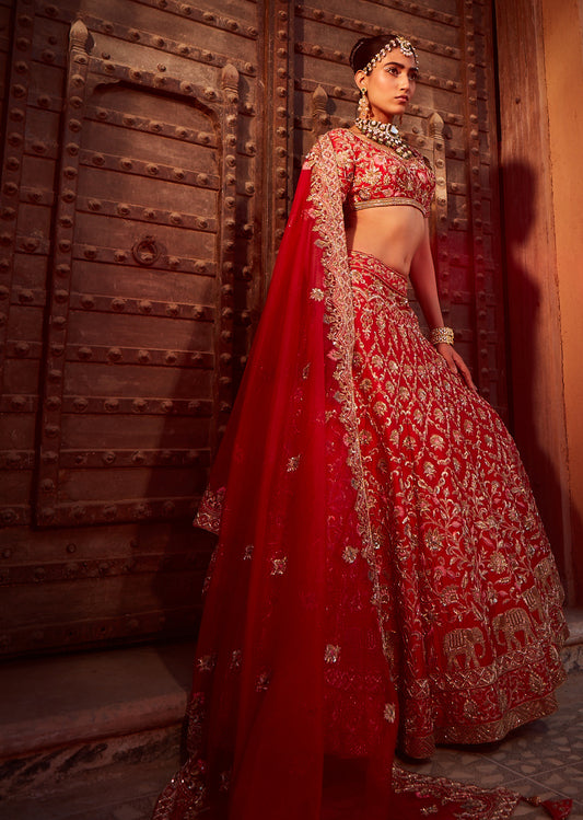 Royal Red Lehenga Set