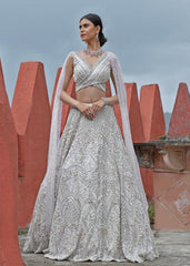 Celestial Shimmer  Lehenga set