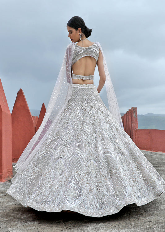 Celestial Shimmer  Lehenga set