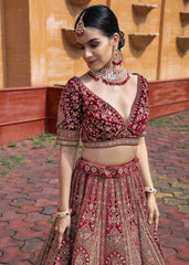 Raspberry Rhapsody  Lehenga set