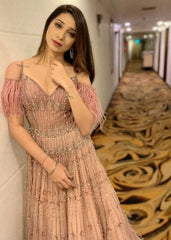 Vrushika Mehta - Dusky Pink Embroidered Gown
