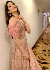 Vrushika Mehta - Dusky Pink Embroidered Gown