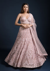 Blush Pink Art Nouveau Lehenga Set