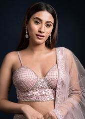 Blush Pink Art Nouveau Lehenga Set