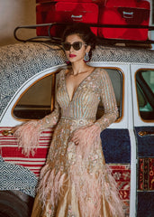Gold Zardozi And Feathers Silk Gown
