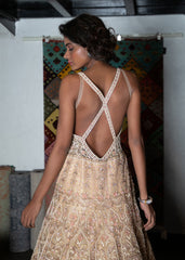 Light Gold Floral Embroidered Gown