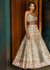 Pale Blush Studded Lehenga Set