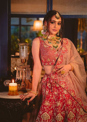 Deep Red And Gold Peacock Lehenga Set