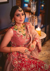 Deep Red And Gold Peacock Lehenga Set