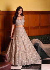 Ash Grey Studded Lehenga Set