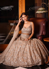 Ash Grey Studded Lehenga Set