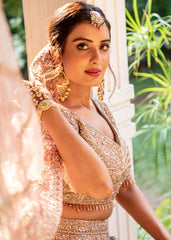 Pastel Moss And Gold Applique Lehenga Set