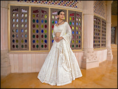 Regal Frost  Lehenga set