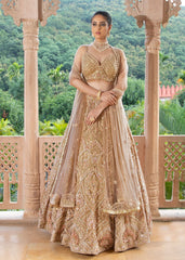 Champagne Charm  Lehenga set