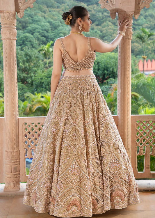 Champagne Charm  Lehenga set