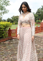 Royal Reverie plazzo set