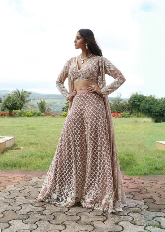 Royal Reverie plazzo set