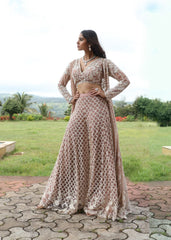 Royal Reverie plazzo set