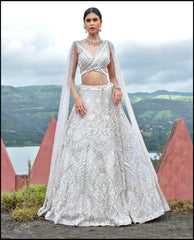Celestial Shimmer  Lehenga set
