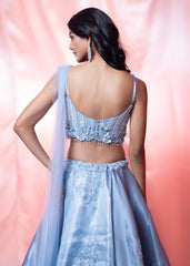 Light Ble Lehenga