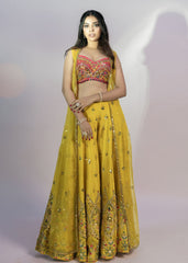 Rani Silk Mirror Pearl And Sequins Embroidered Choli With Yellow Organzha Jacket Plazho Set