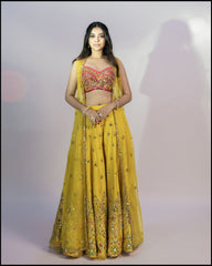 Rani Silk Mirror Pearl And Sequins Embroidered Choli With Yellow Organzha Jacket Plazho Set