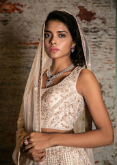 Nude Blush Self Embroidered Lehenga Set