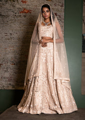 Nude Blush Self Embroidered Lehenga Set