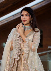 Blush Cream Trail Anarkali Lehenga Set