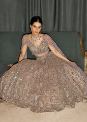 Diamond Dust  Lehenga set