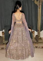 Diamond Dust  Lehenga set