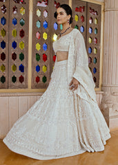Regal Frost  Lehenga set