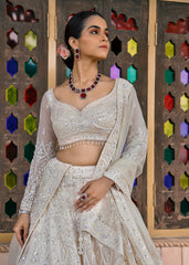 Regal Frost  Lehenga set