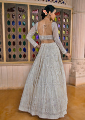 Regal Frost  Lehenga set