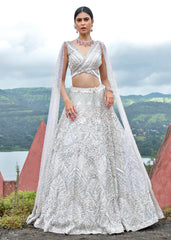 Celestial Shimmer  Lehenga set