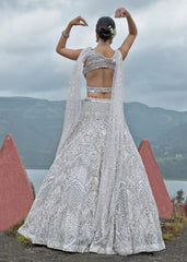 Celestial Shimmer  Lehenga set