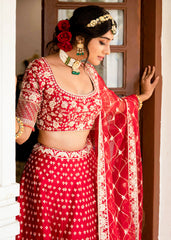 Carmine Red Floral Bagh Lehenga Set